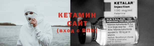 трава Новозыбков